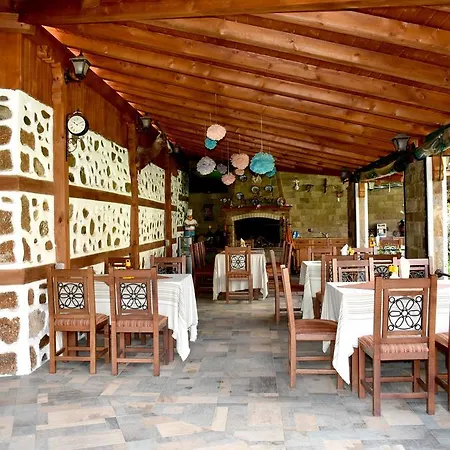 Complex Oazis Maison d'hôtes Etropole