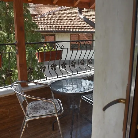 Complex Oazis Къща за гости 3*