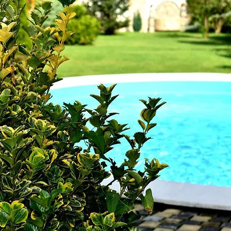 Maison d'hôtes Complex Oazis Etropole