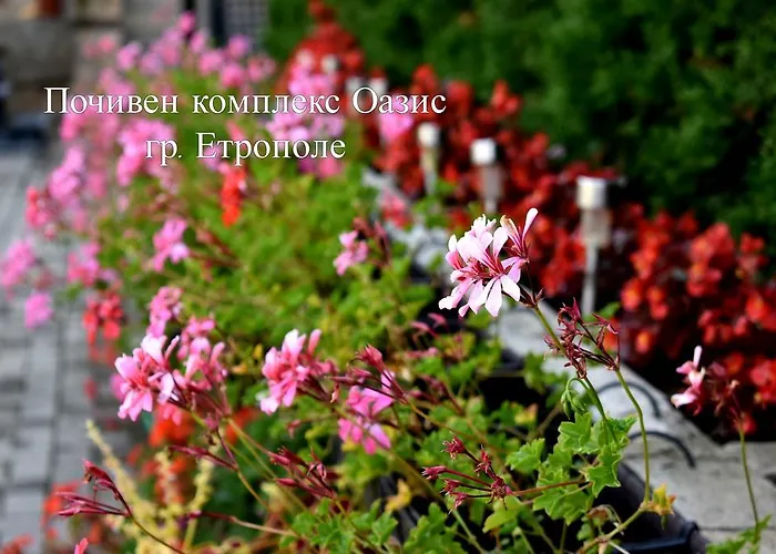 Къща за гости комплекс оазис Етрополе